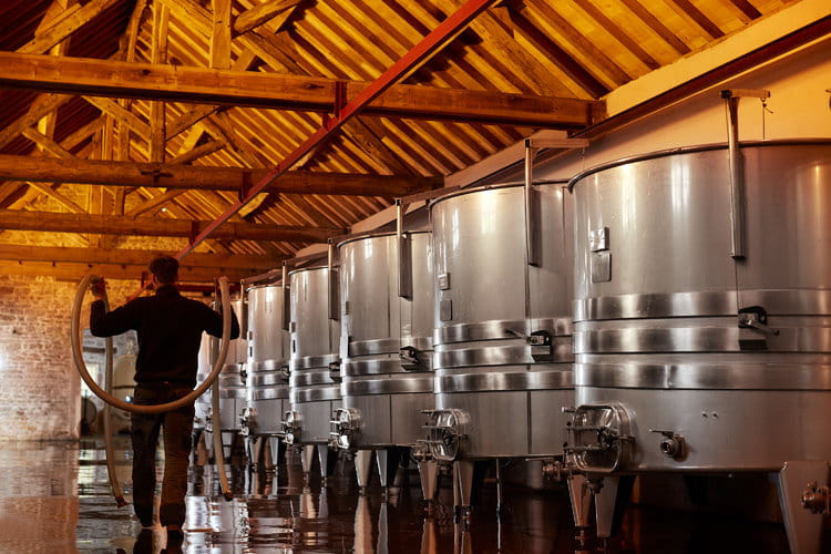 Visite et dégustation au domaine